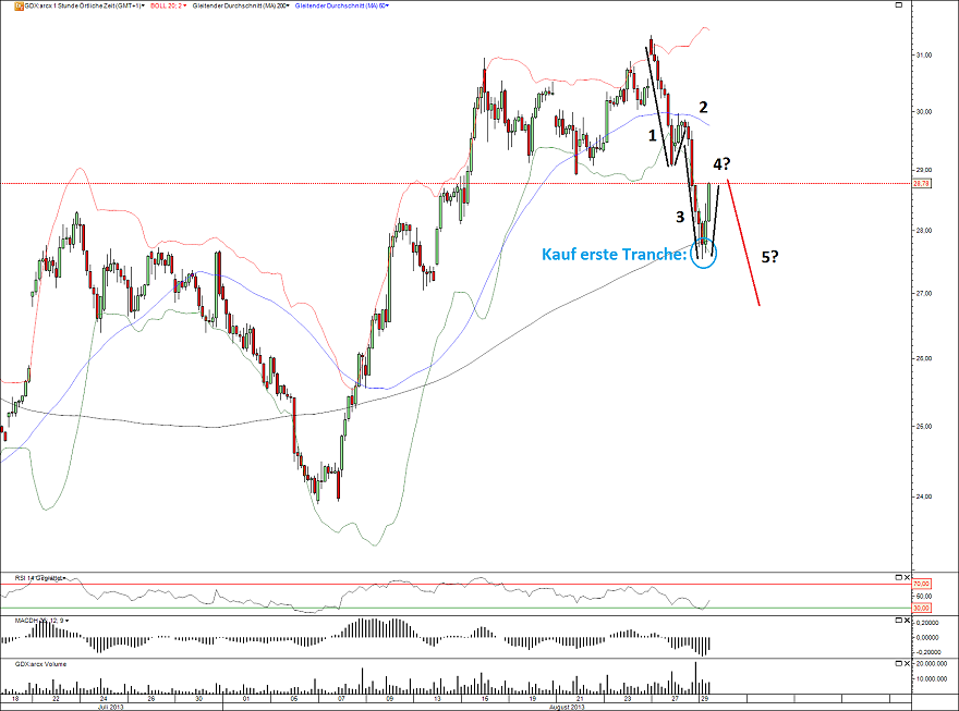 GDX Update 29.08.13